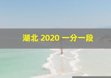 湖北 2020 一分一段